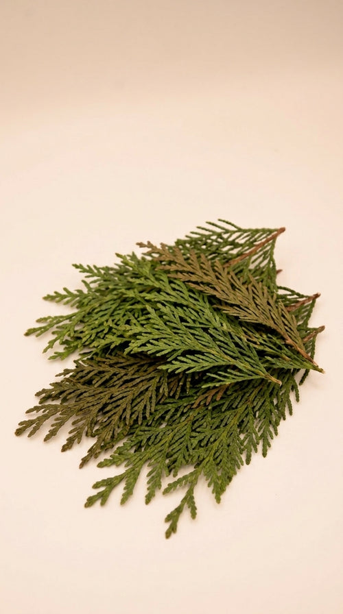 Incense Cones - The Cedarwood