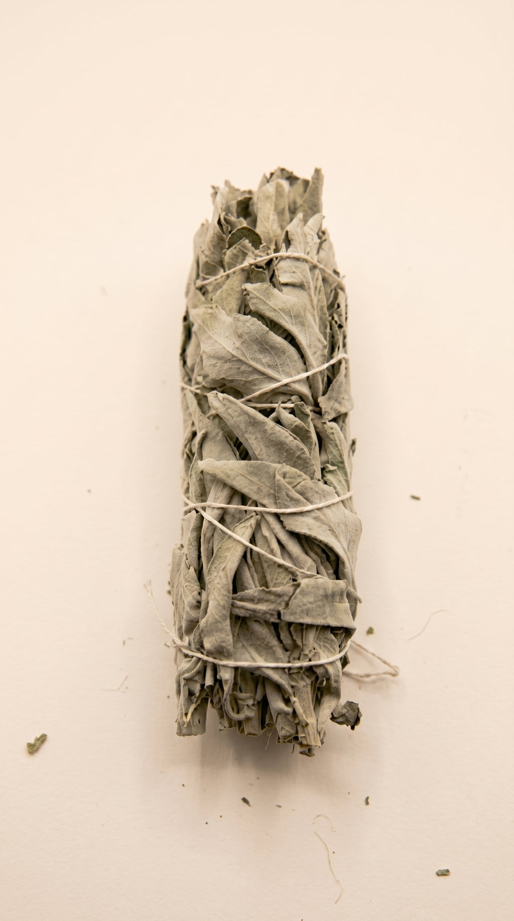 Incense Cones - The Sage